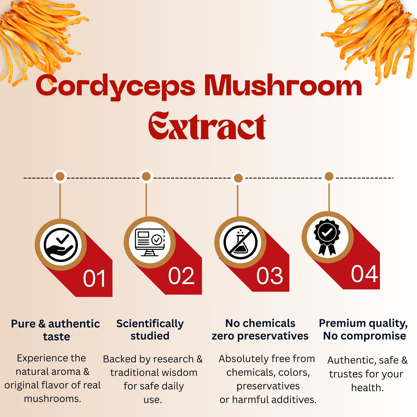 Cordyceps Mushroom Extract Powder | For Enhance Energy & Stamina