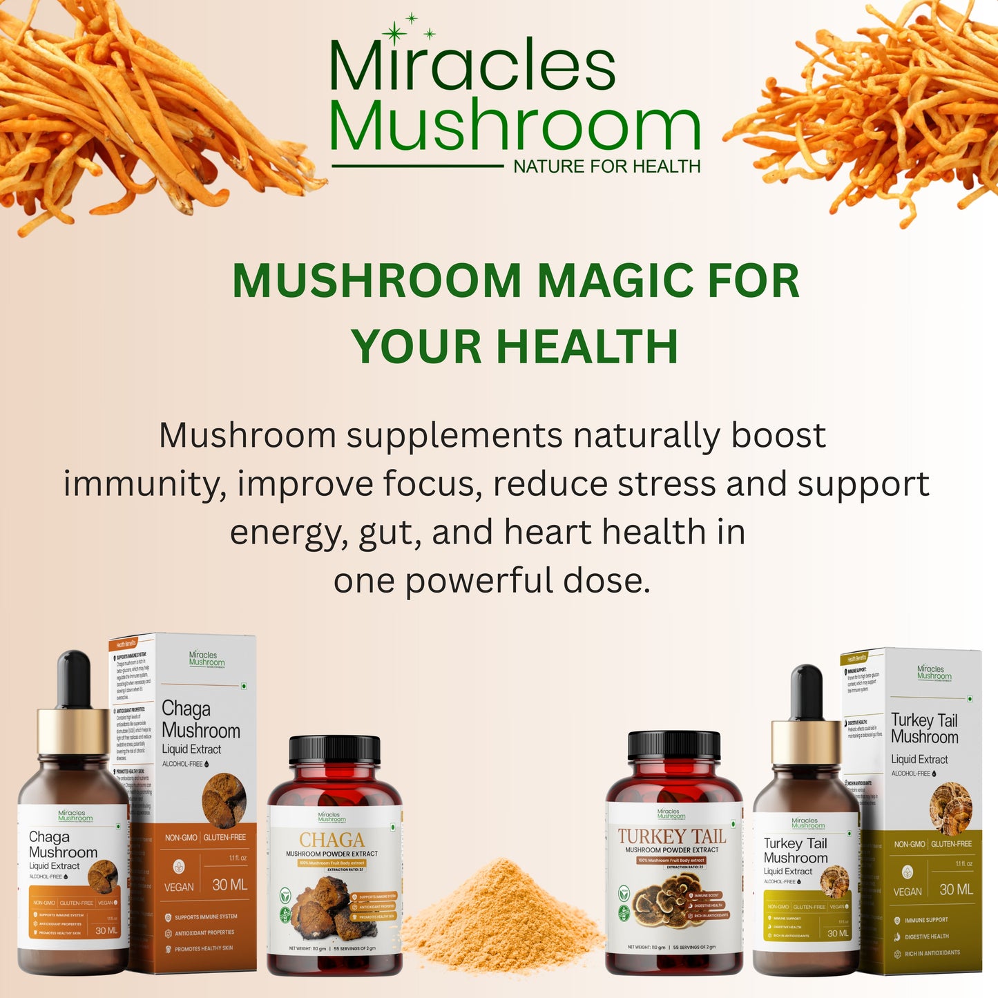 Cordyceps Mushroom Extract Powder | For Enhance Energy & Stamina