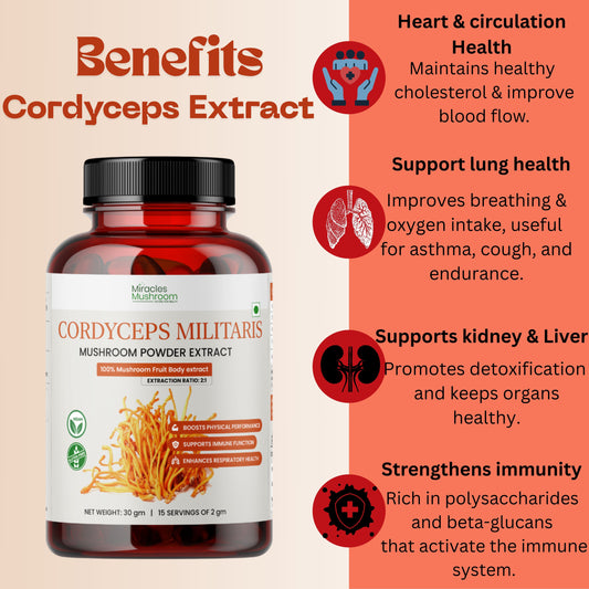 Cordyceps Mushroom Extract Powder | For Enhance Energy & Stamina