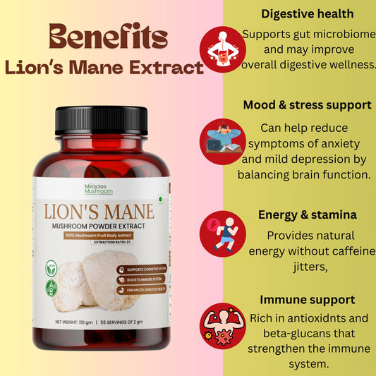 Lion's Mane Mushroom Extract Powder | Organic Brain & Memory Support