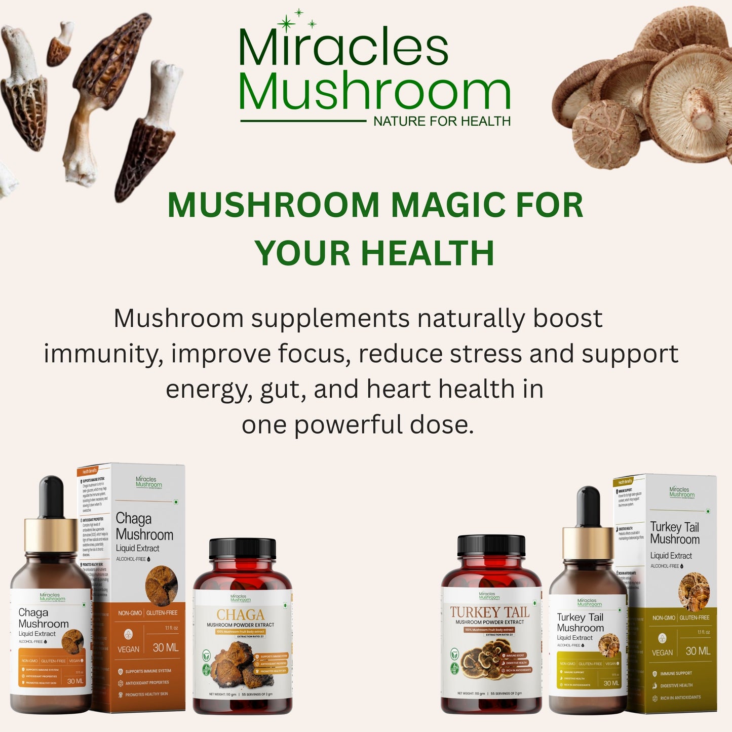 Dried Morel Mushroom | High Protein & Nutrient Support