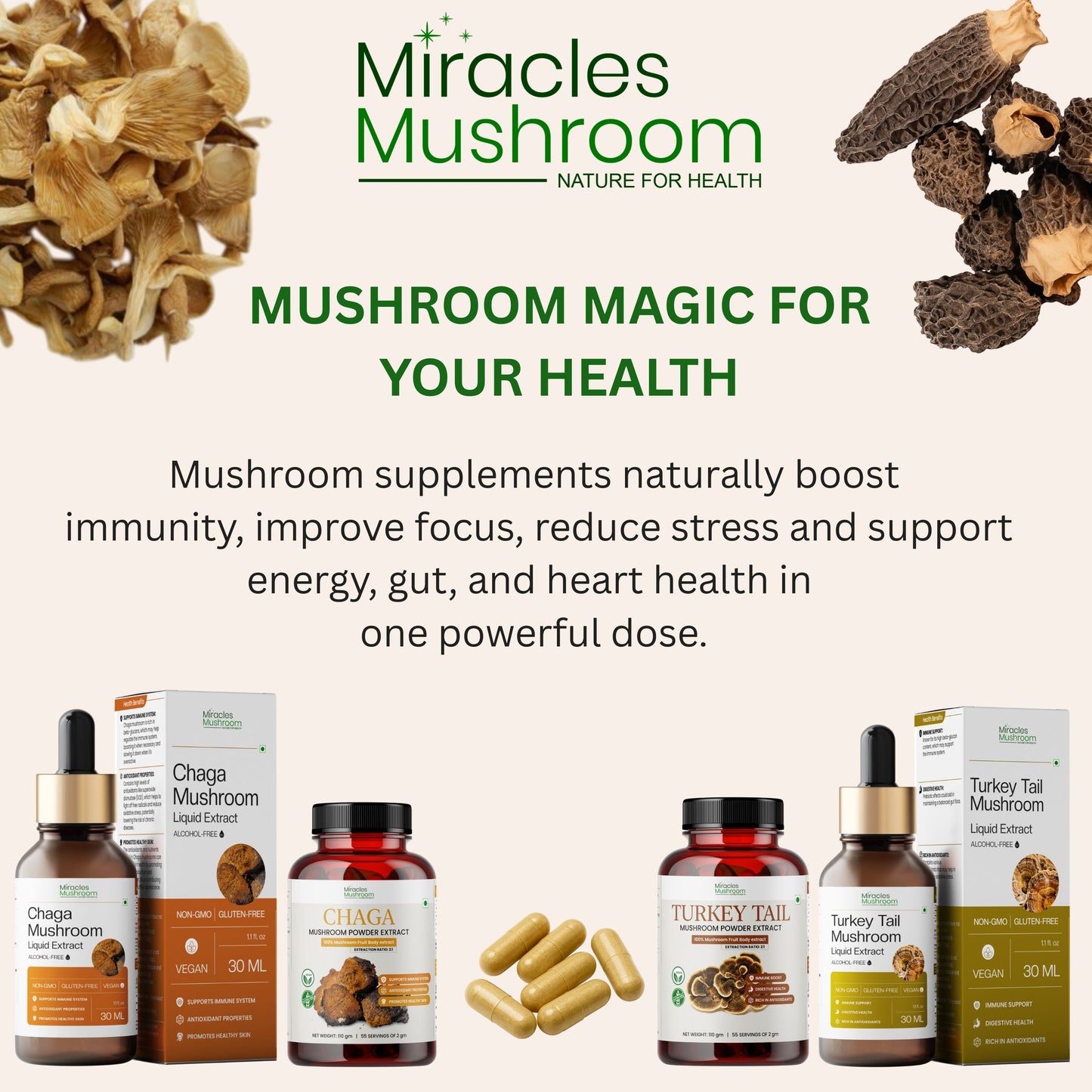 Dried Jumbo Morel Mushroom (Gucchi) | Gourmet Superfood & Health Benefits