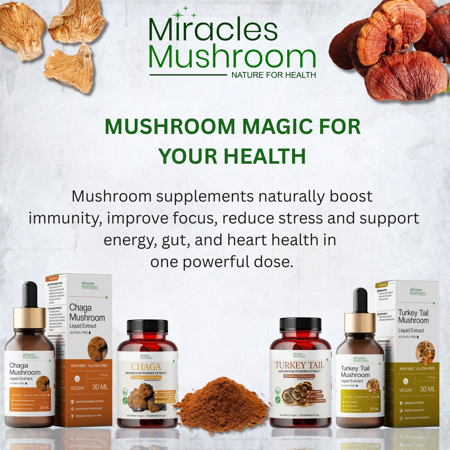 Reishi Mushroom Powder Extract | Immune System Booster, Energy & Stress Support
