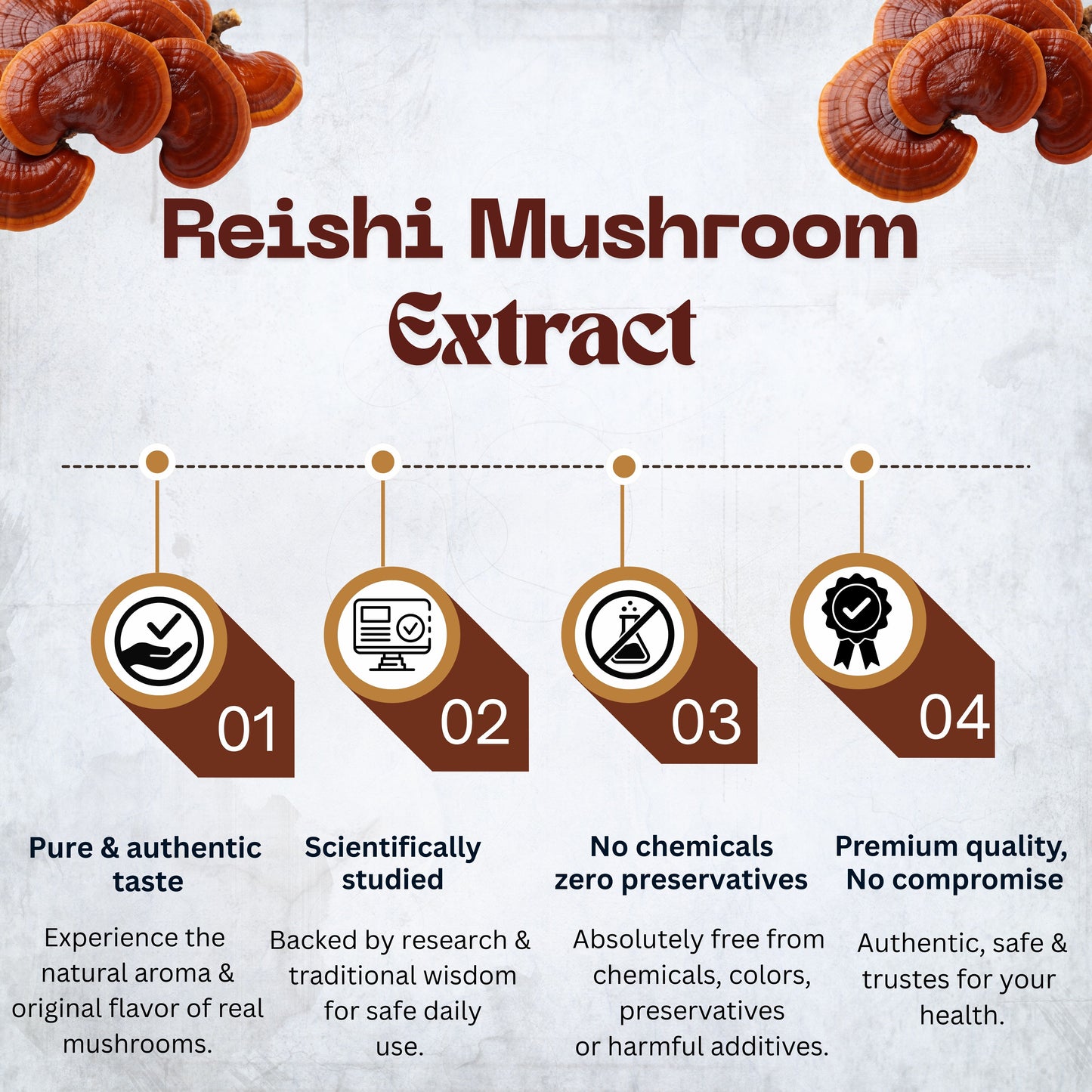 Reishi Mushroom Powder Extract | Immune System Booster, Energy & Stress Support