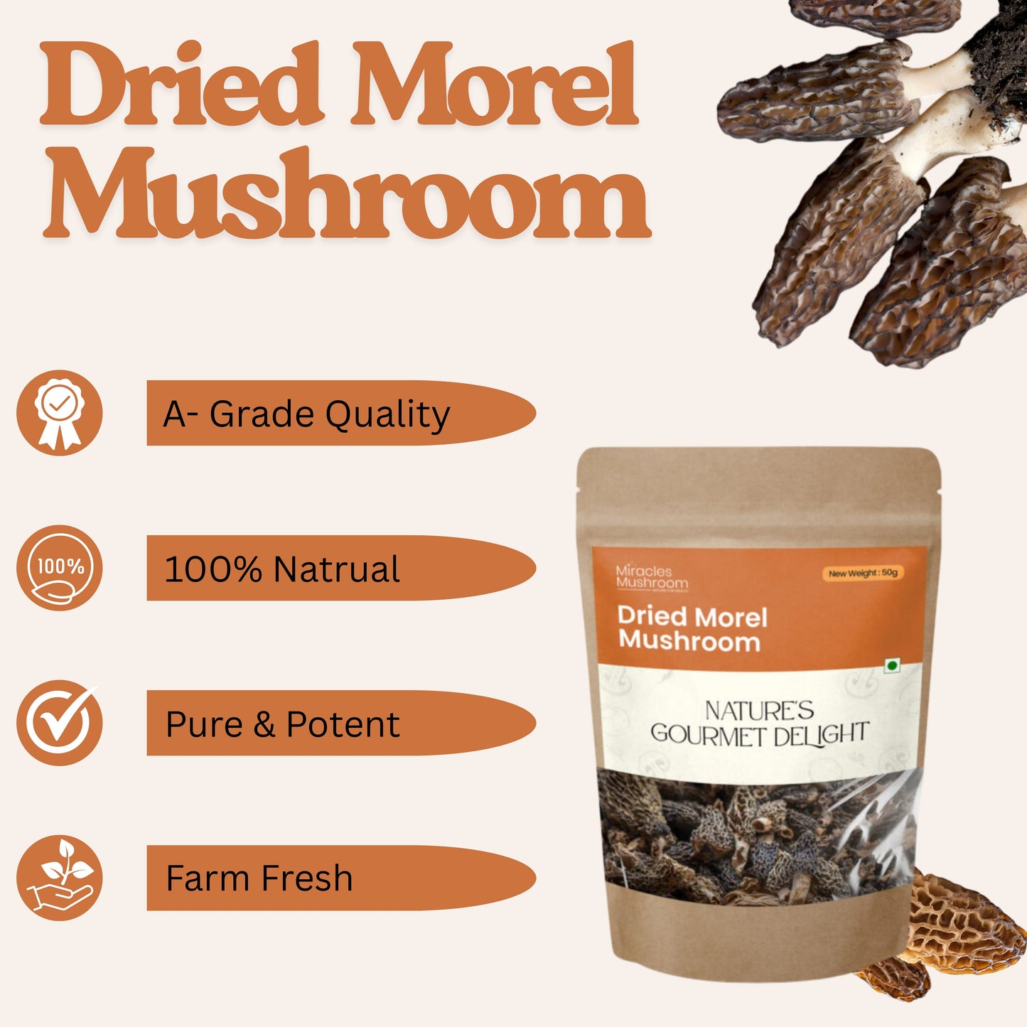 Dried Morel Mushroom | High Protein & Nutrient Support
