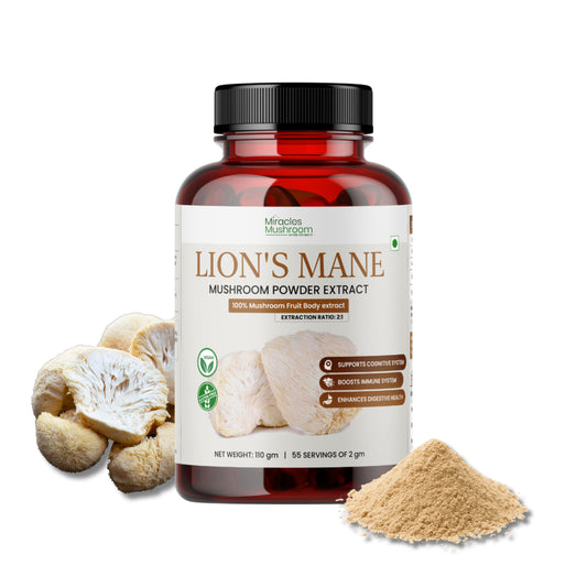 Lion's Mane Mushroom Extract Powder | Organic Brain & Memory Support