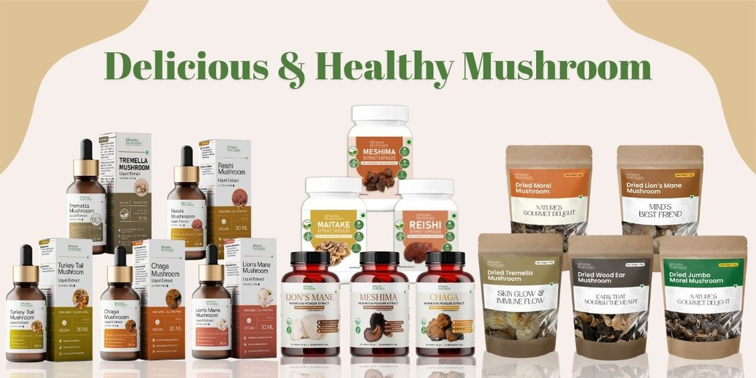 The Science Behind Mushroom Extracts: Unlocking Nature’s Wellness Secret