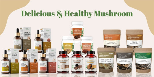 The Science Behind Mushroom Extracts: Unlocking Nature’s Wellness Secret