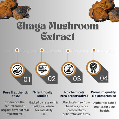 Chaga Mushroom Extract Powder | Pure Health & Wellness Support