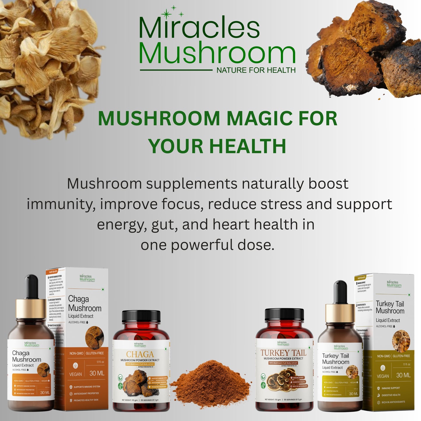 Chaga Mushroom Extract Powder | Pure Health & Wellness Support