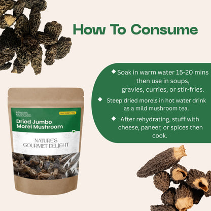 Dried Jumbo Morel Mushroom (Gucchi) | Gourmet Superfood & Health Benefits