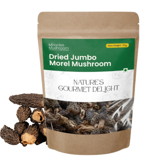 Dried Jumbo Morel Mushroom (Gucchi) | Gourmet Superfood & Health Benefits