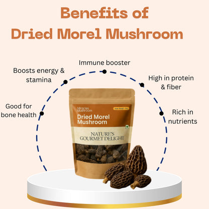 Dried Morel Mushroom | High Protein & Nutrient Support