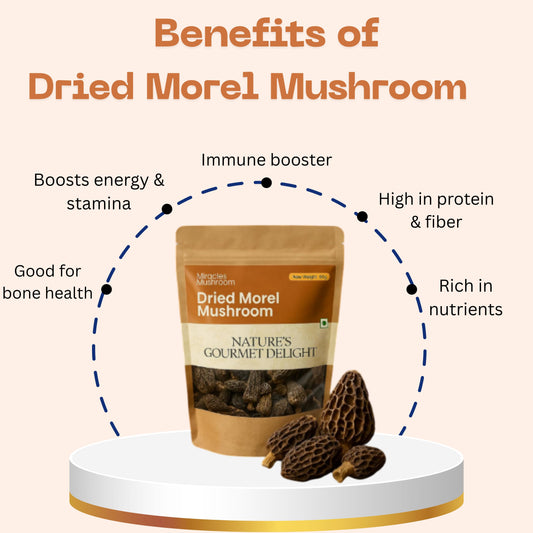 Dried Morel Mushroom | High Protein & Nutrient Support