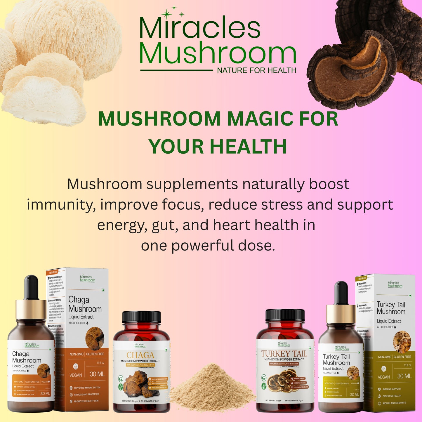 Lion's Mane Mushroom Extract Powder | Organic Brain & Memory Support