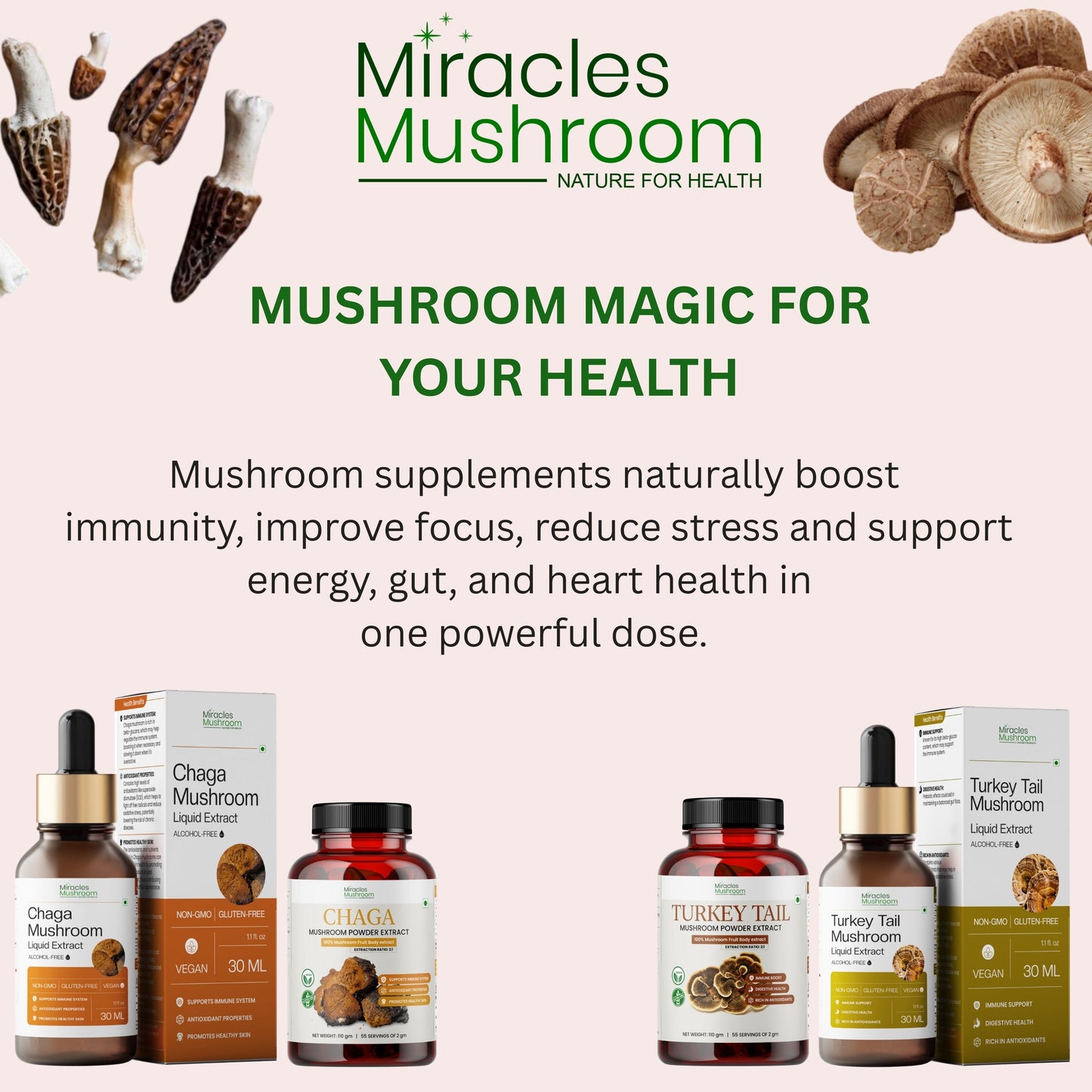 Turkey Tail Mushroom Extract Powder | Gut Care & Digestive Health