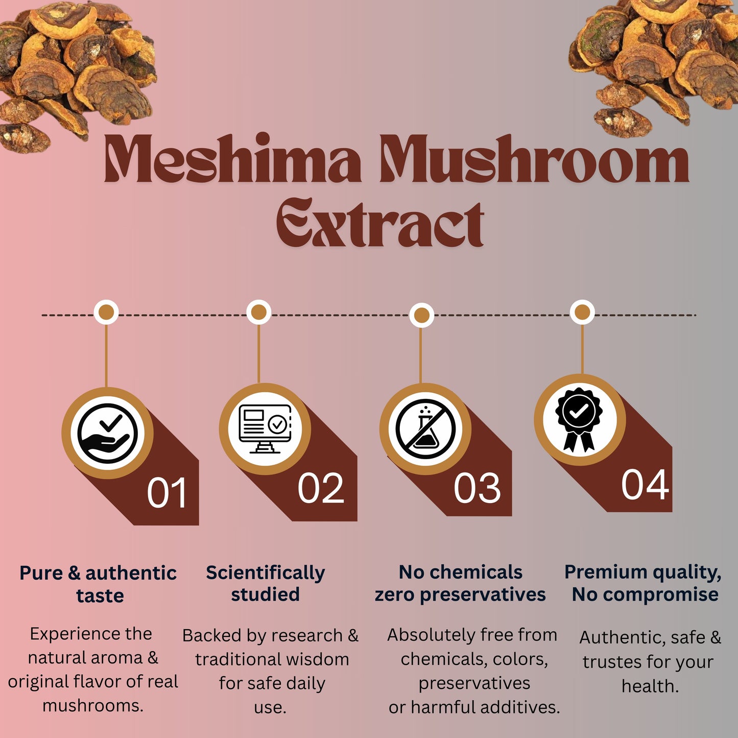 Meshima Mushroom Extract Powder | Pure Organic Immune Support Supplements