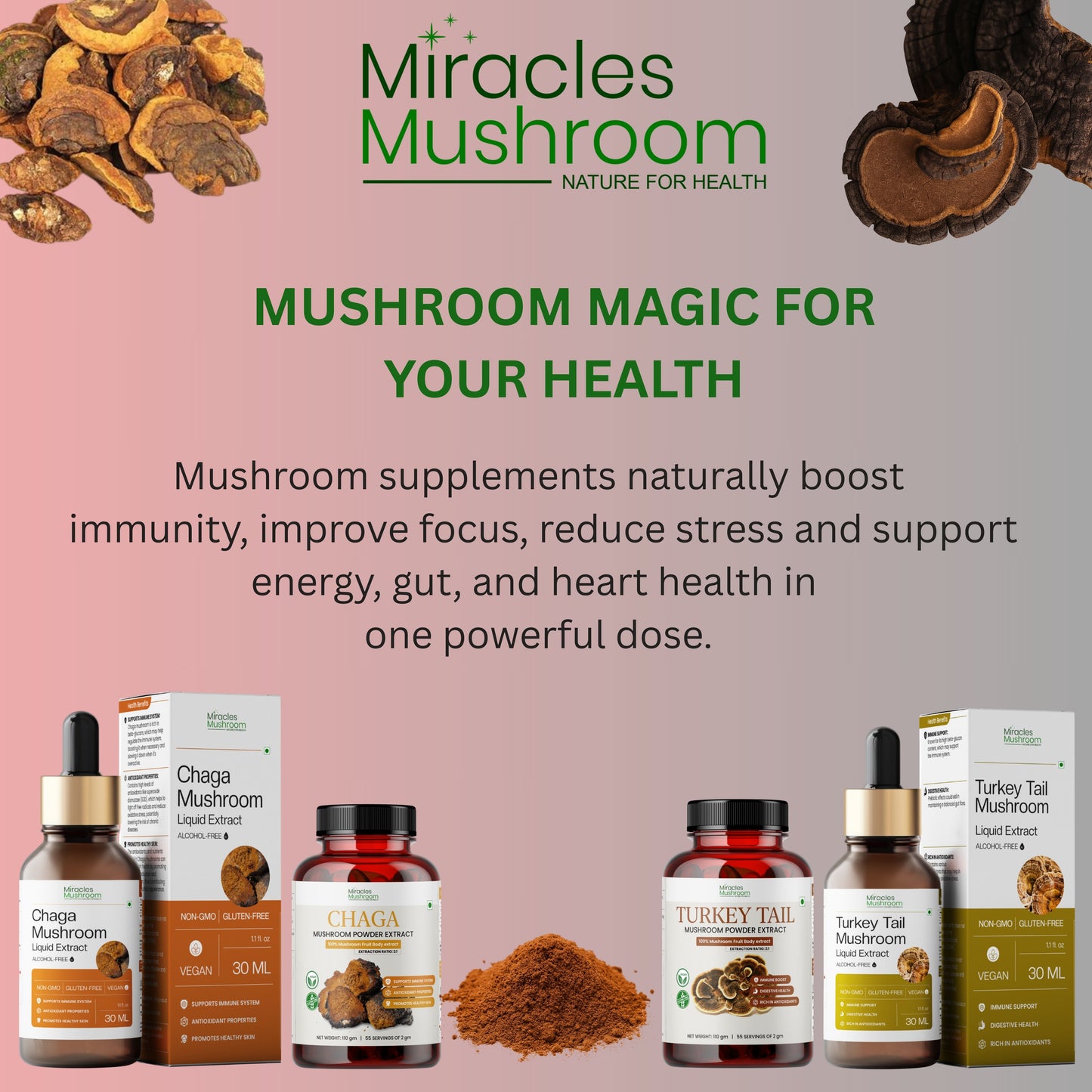 Meshima Mushroom Extract Powder | Pure Organic Immune Support Supplements