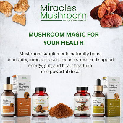 Reishi Mushroom Powder Extract | Immune System Booster, Energy & Stress Support
