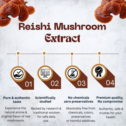 Reishi Mushroom Powder Extract | Immune System Booster, Energy & Stress Support