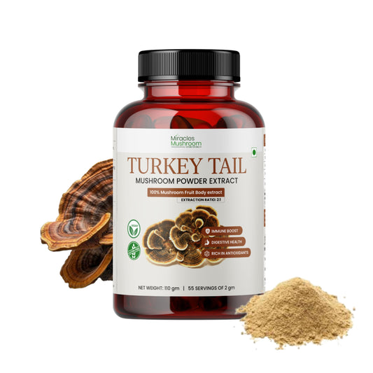 Turkey Tail Mushroom Extract Powder | Gut Care & Digestive Health