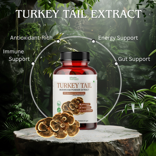 Turkey Tail Mushroom Extract Powder | Gut Care & Digestive Health