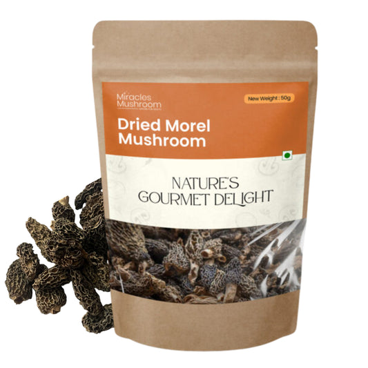 Dried Morel Mushroom | High Protein & Nutrient Support
